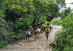 Ghangaria to Hemkunt Sahib – Return to Ghangaria