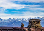 Amritsar to Dalhousie (Approx. 200 km / 5–6 hours)