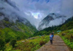 Joshimath to Govindghat – Trek to Ghangaria