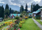 Srinagar - Gulmarg