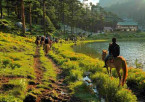 Dalhousie – Khajjiar Excursion