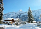 Shimla to Manali (Approx. 250 km / 7–8 hours)