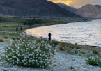 Hemis Thiksey - Nubra Valley