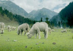 Full Day Sightseeing in Pahalgam