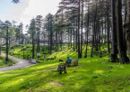 Srinagar to Patnitop (Approx. 200 km / 6–7 hours)