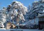 Shimla – Local Sightseeing