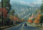Shimla – Local Sightseeing & Kufri Excursion