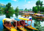 Jammu to Srinagar (Approx. 270 km / 7–8 hours)