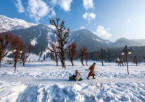 Back to Srinagar
