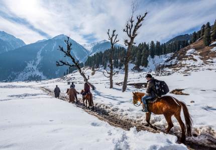 Kashmir Grand Royal Trail from Delhi/Chandigarh