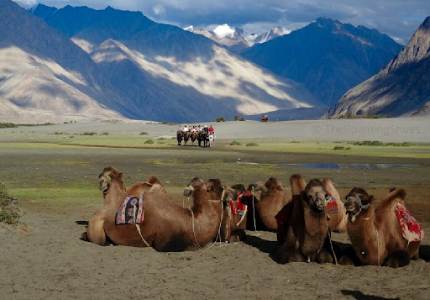 Thrilling Ladakh Expedition from Delhi – 10 Days